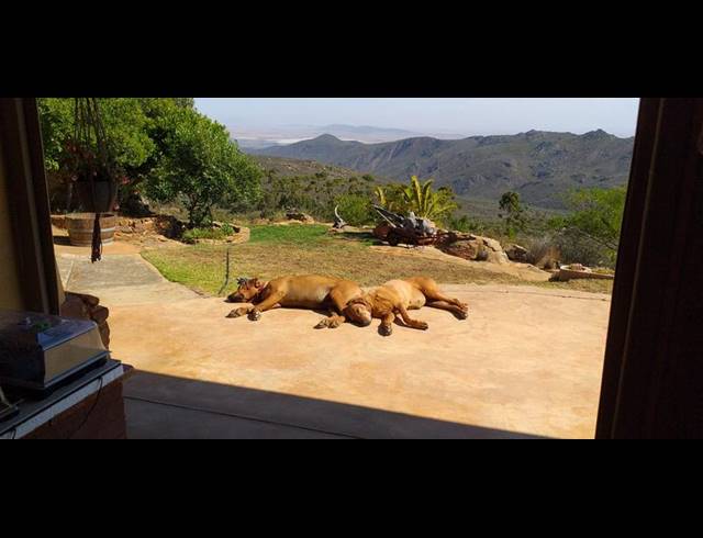 FARM FOR SALE IN PIKETBERG RURAL